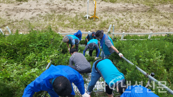 마사회 임직원들이 수해복구 봉사활동을 하는 모습. (사진=한국마사회)