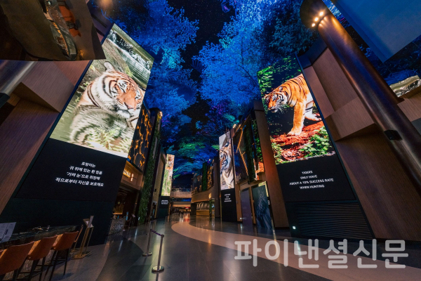 디지털 엔터테인먼트 거리 '오로라'의 초대형 LED 기둥에 등장하는 멸종위기종 호랑이, 코끼리, 그리고 대왕판다의 모습. 오로라 천정에서 보여지는 ‘별의 숲’ 미디어아트 영상과 어우러져 숲속에서 자유롭게 살아가는 야생동물들의 이야기를 통해 환경보전에 대한 메시지를 전달한다. (사진=인스파이어)