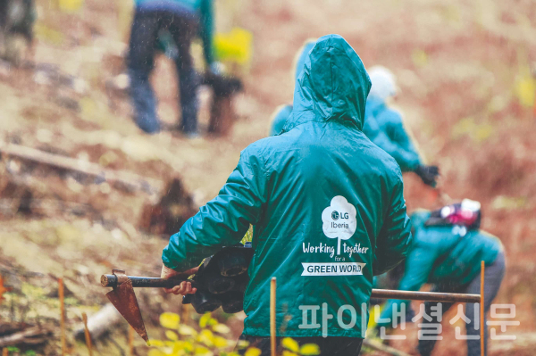 LG전자 스페인 법인은 스페인 및 포르투갈 주요 지역에서 산림 재생 캠페인 '스마트 그린 트리'를 진행하고 있다. (사진=LG전자)